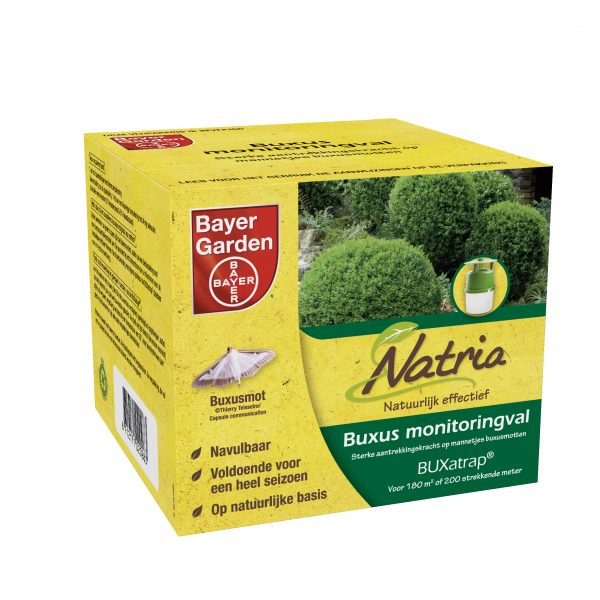 Bayer Natria Buxatrap Buxus Monitoringsval 1 stuk